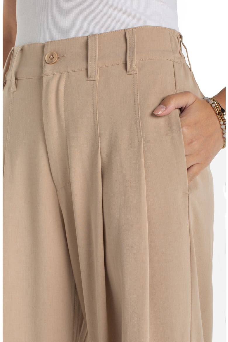 Pleated High Waist Ankle Wide Leg Pants, Alternate, color, CAPPUCCINO