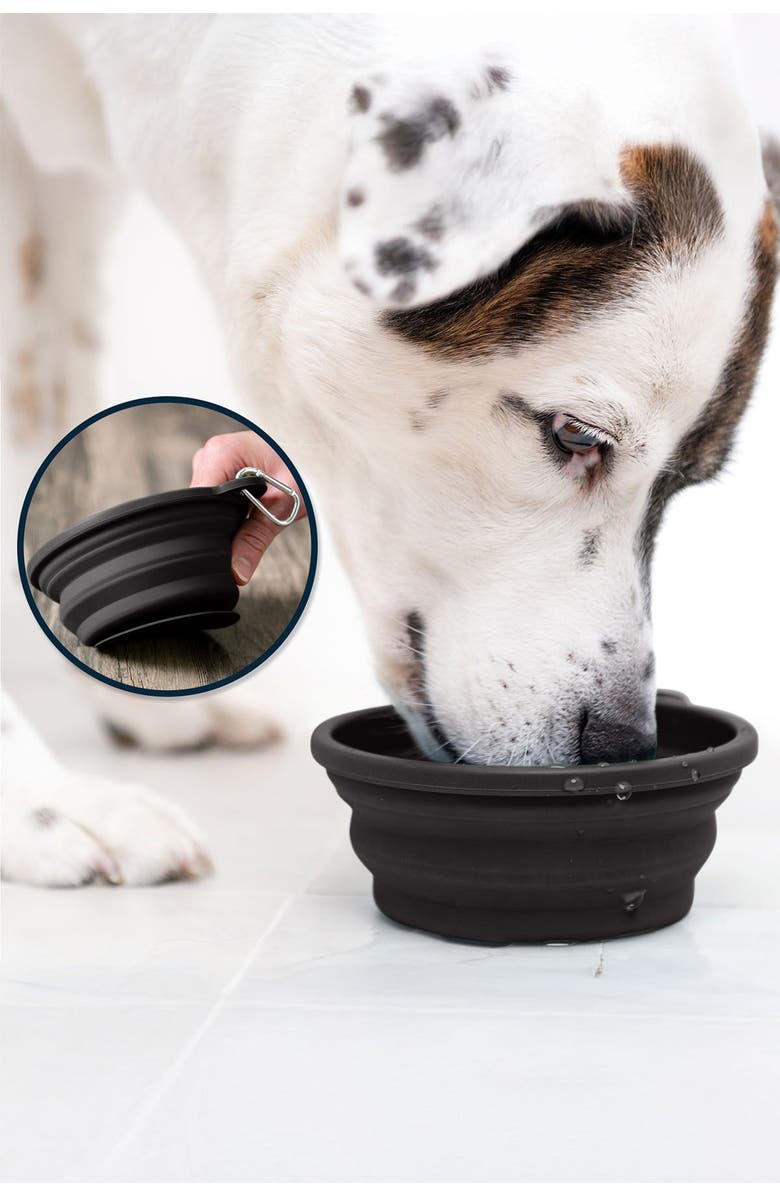 Puppington Slow-Feeding, BPA-Free Silicone Travel Dog Bowl, Alternate, color, Onyx Black