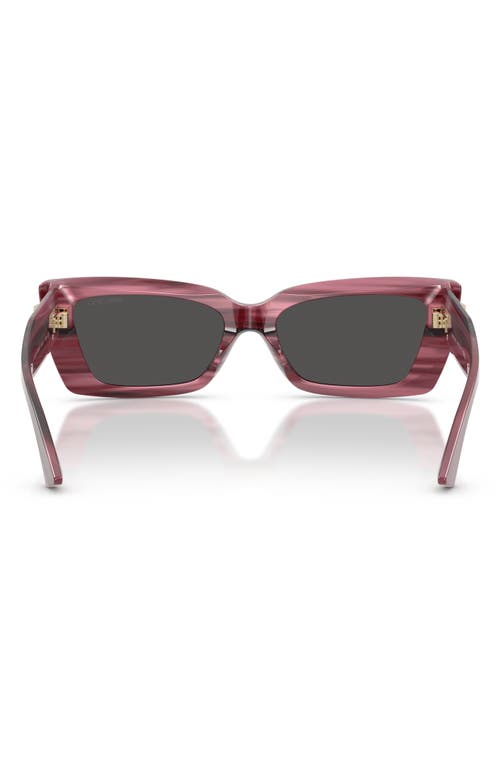 Jimmy Choo 54mm Cat Eye Sunglasses In Brown