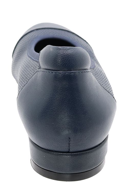 David Tate Newton Cap Toe Flat In Navy