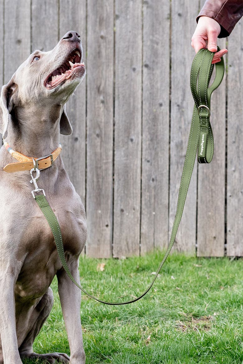 Reflective Leash, Alternate, color, Basil Green