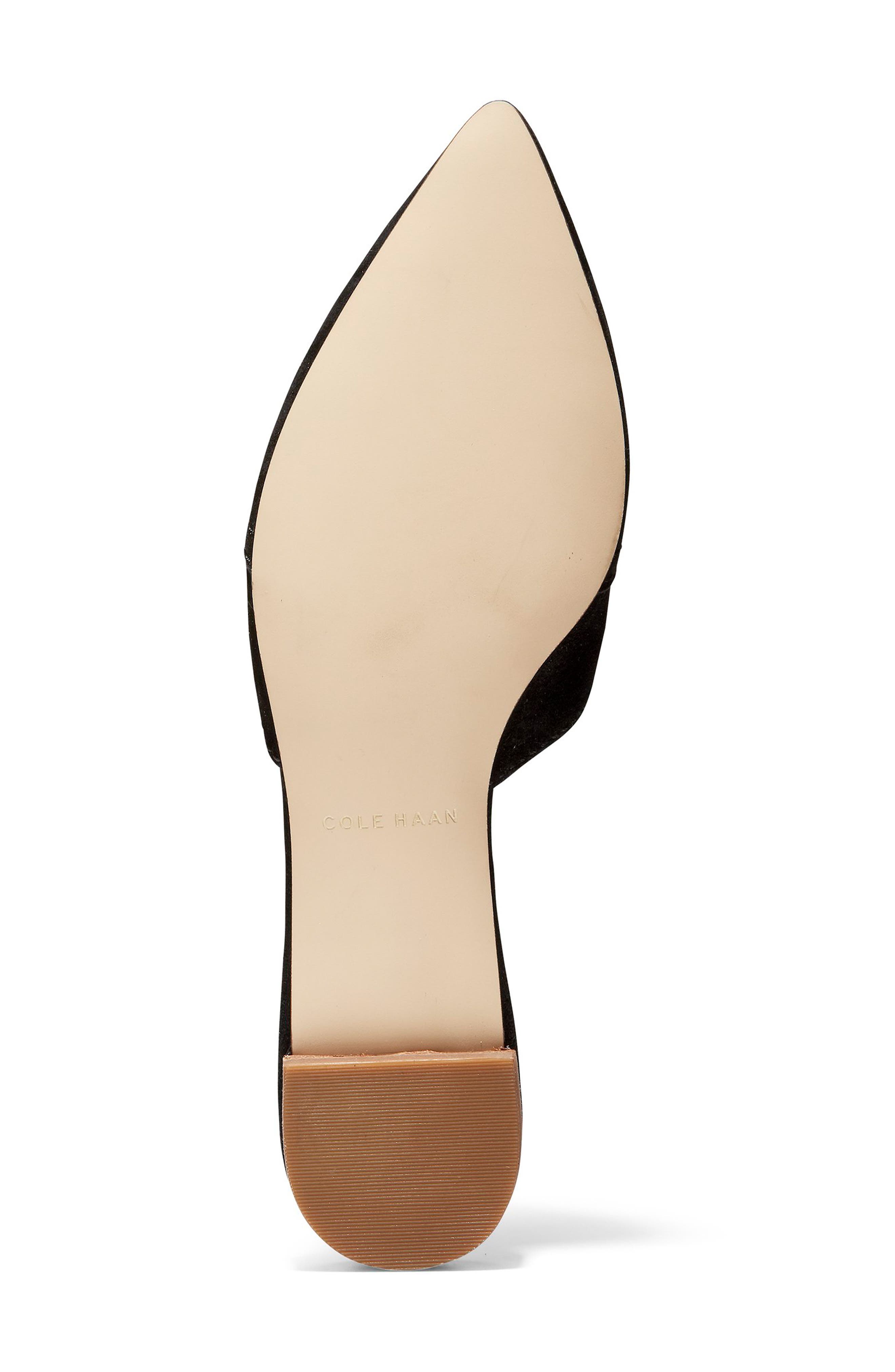 Cole Haan Hadley Mule, Alternate, color, Black Suede