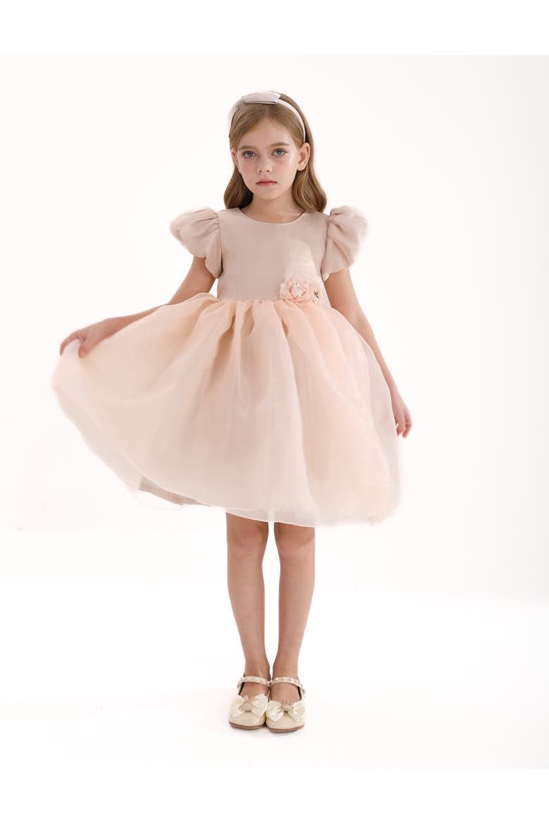 D'Amico Dress, Alternate, color, Champagne