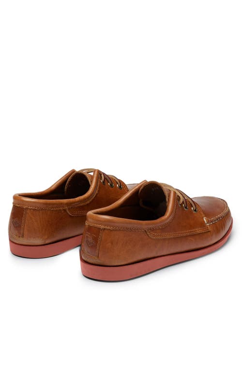 Quoddy Blucher Shoe In Brown