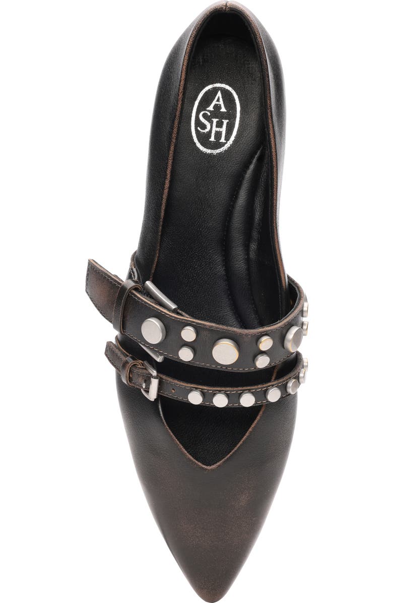 Ash Britnie Pointed Toe Flat, Alternate, color, Black Distressed