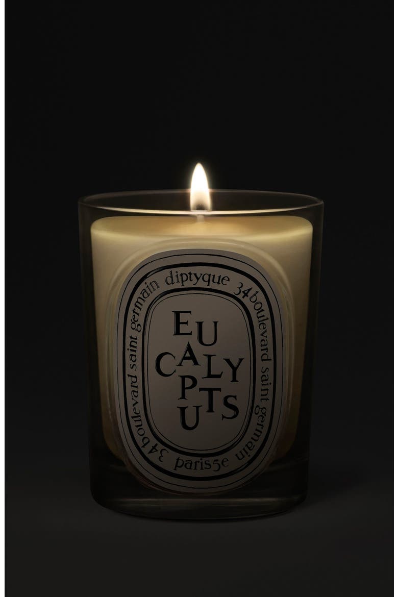 Eucalyptus Classic Candle, Alternate, color, NO COLOR