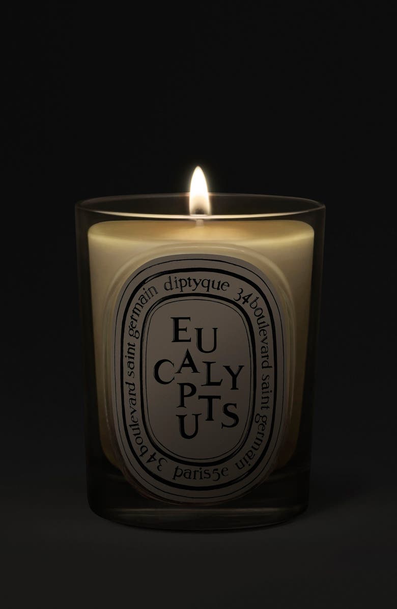 Diptyque Eucalyptus Classic Candle, Alternate, color, 