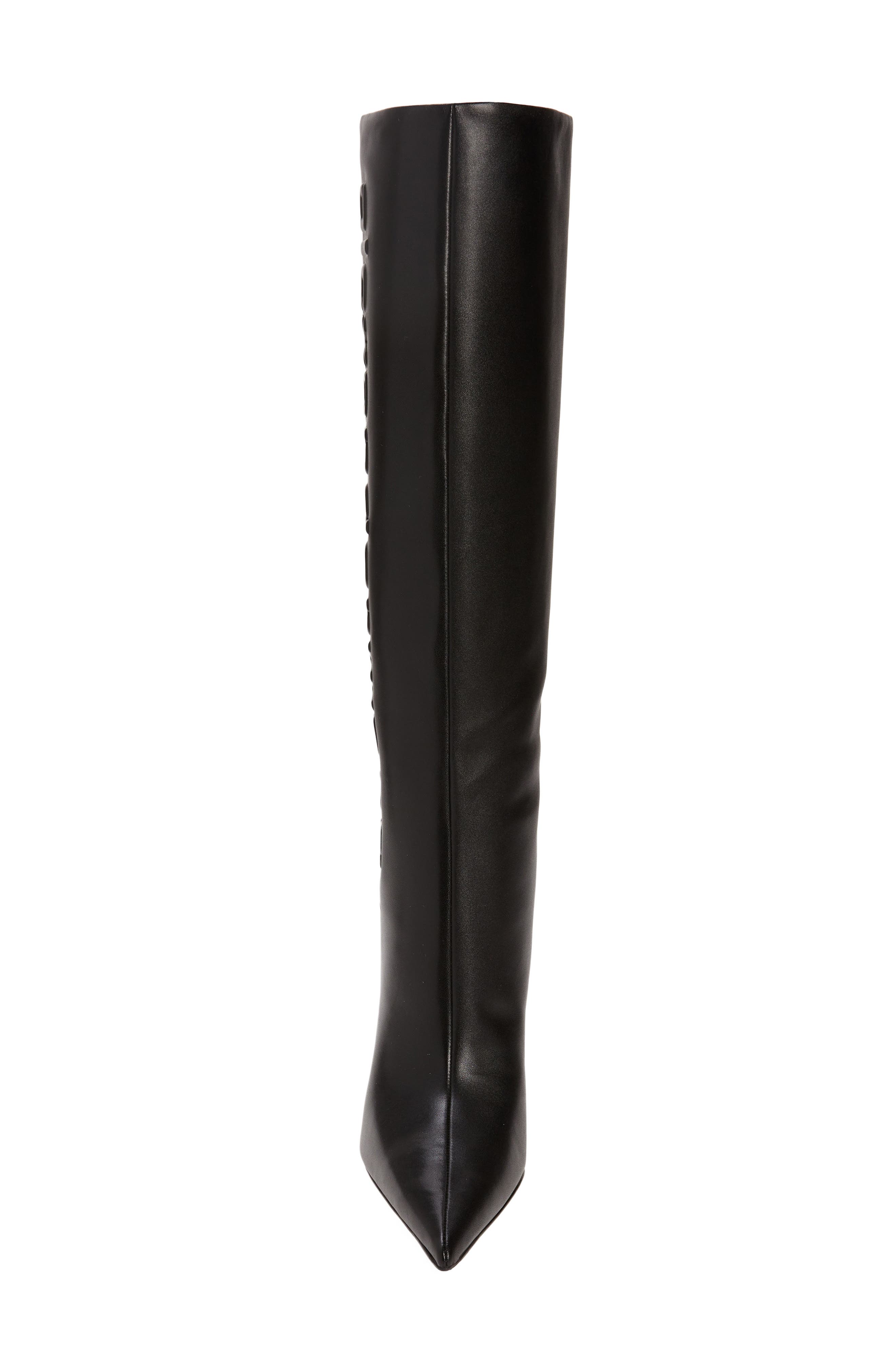 Alexander Wang Delphine Pointed Toe Boot, Alternate, color, 