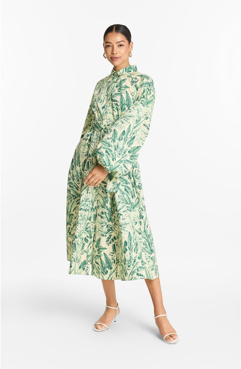 DIARRABLU Printed Cotton Poplin Naja Midi Dress Toile Olive, Alternate, color, Toile Olive