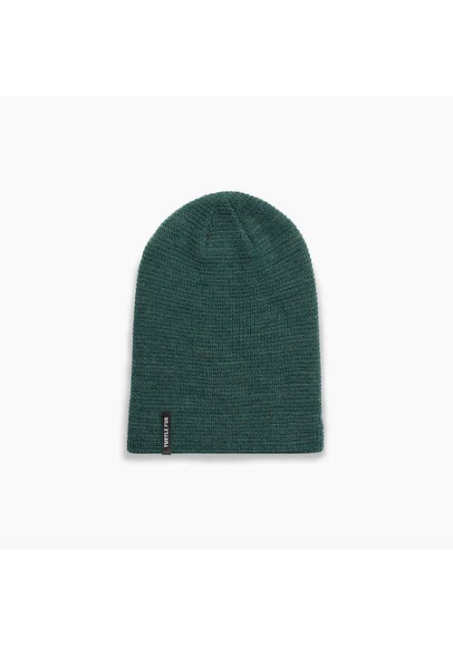 Turtle Fur Frostline Slouch Beanie In Gray