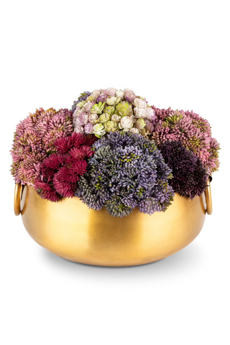 Solene Gold Sedum Arrangement, Main, color, Multi-Color