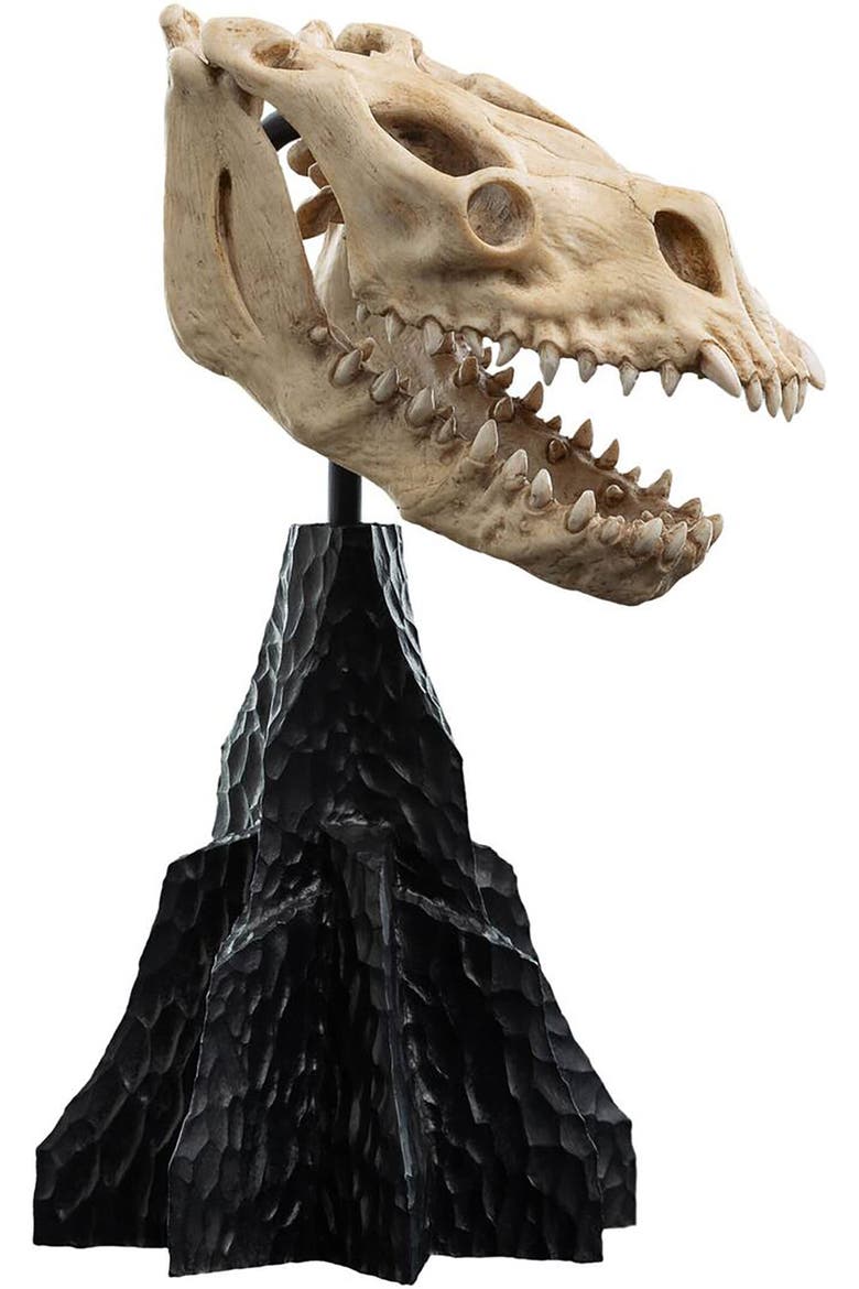Lotr - Skull Of A Fell Beast Polystone Statue, Alternate, color, Multicolor