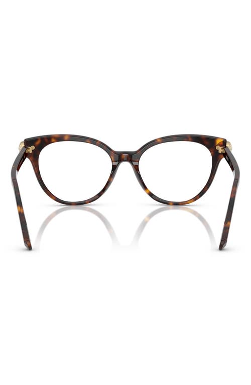 Swarovski 53mm Phantos Optical Glasses In Brown