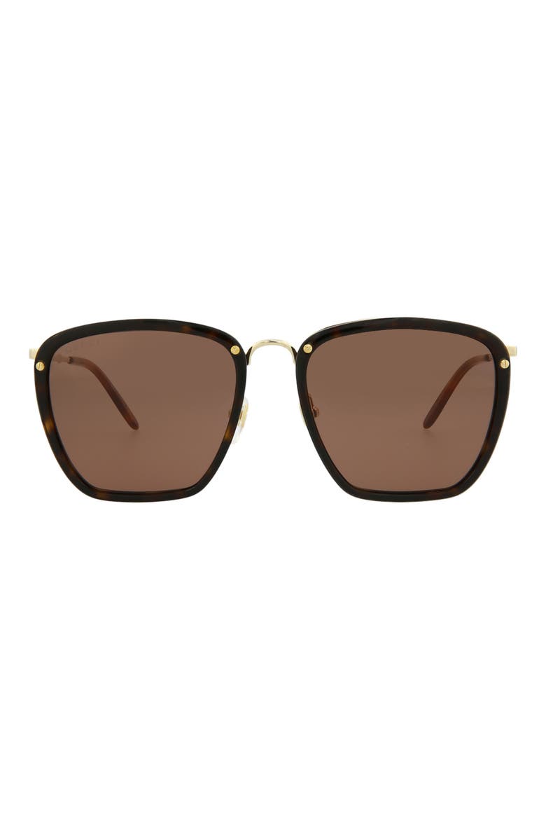 56mm Square Sunglasses, Main, color, HAVANA GOLD BROWN