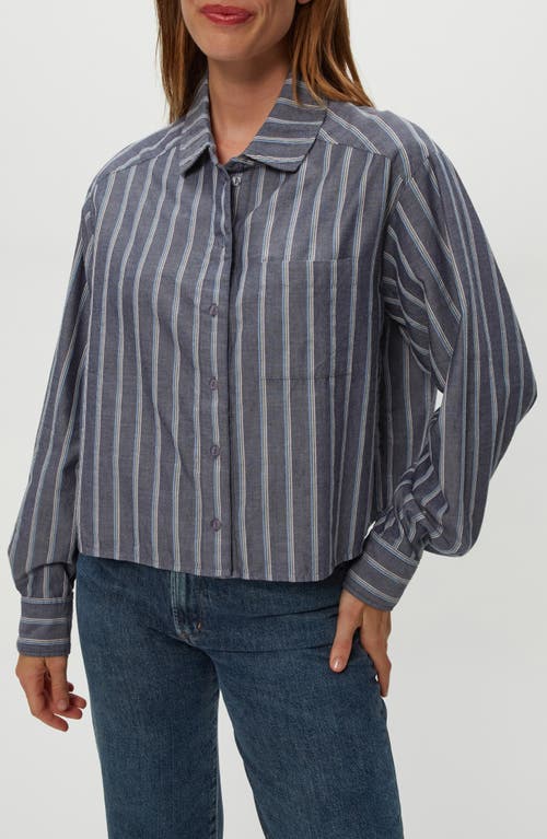 Michael Stars Scarlet Stripe Crop Button-up Shirt In Gray
