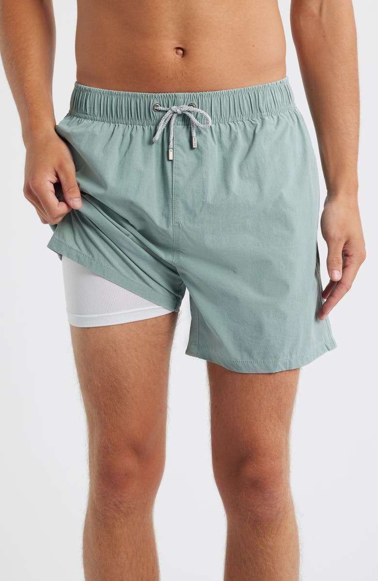 Vintage Summer Volley Swim Trunks, Alternate, color, Sage