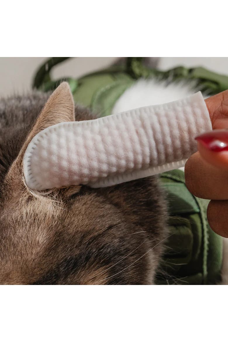Eyes, Ears and Nose Finger Cat Wipes, 100 Count, Alternate, color, Multicolored