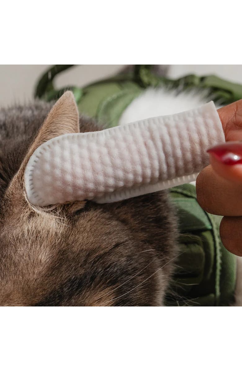 Dexypaws Eyes, Ears and Nose Finger Cat Wipes, 100 Count, Alternate, color, Multicolored