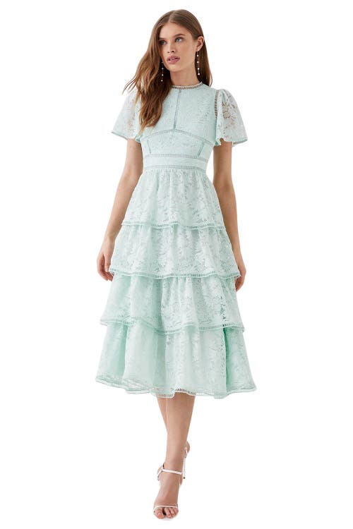 Coast Tiered Lace Dress With Flutter Sleeve In Blue