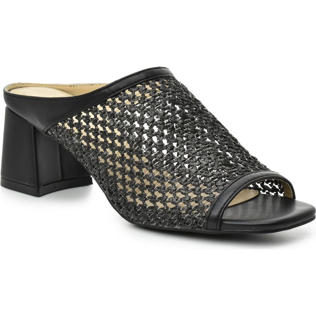 Catherine Catherine Malandrino Levot Braided Raffia Mule In Black