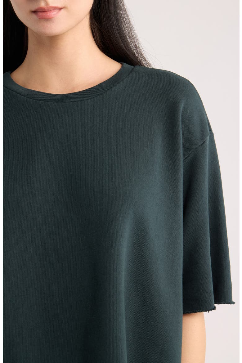 Perry Cotton Fleece Tee, Alternate, color, PINE