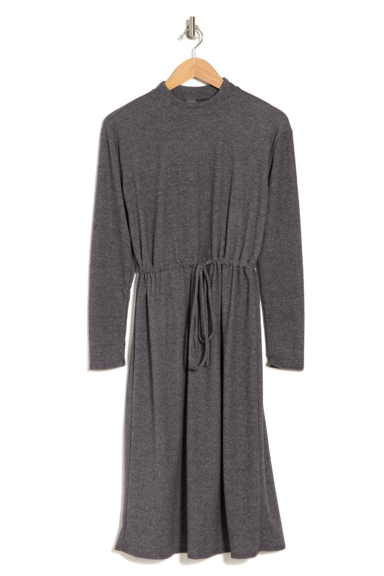 Long Sleeve Drawstring Waist Dress, Alternate, color, CHARCOAL