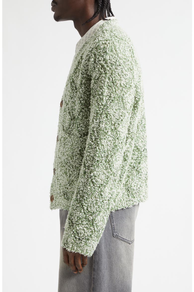 Abain Wool & Mohair Blend Bouclé Cardigan, Alternate, color, ZOYSIA FIELD
