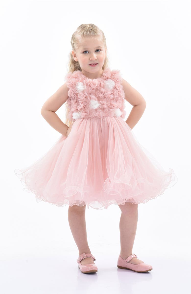 Tulleen Cambriana Dress, Main, color, Pink