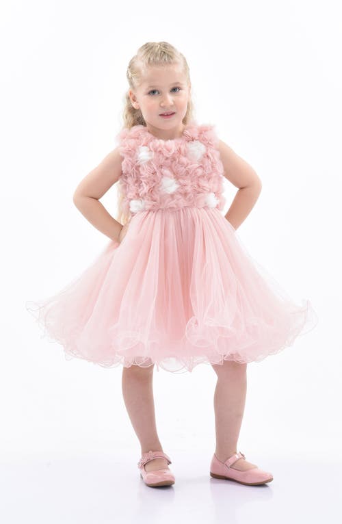 Tulleen Babies'  Cambriana Dress