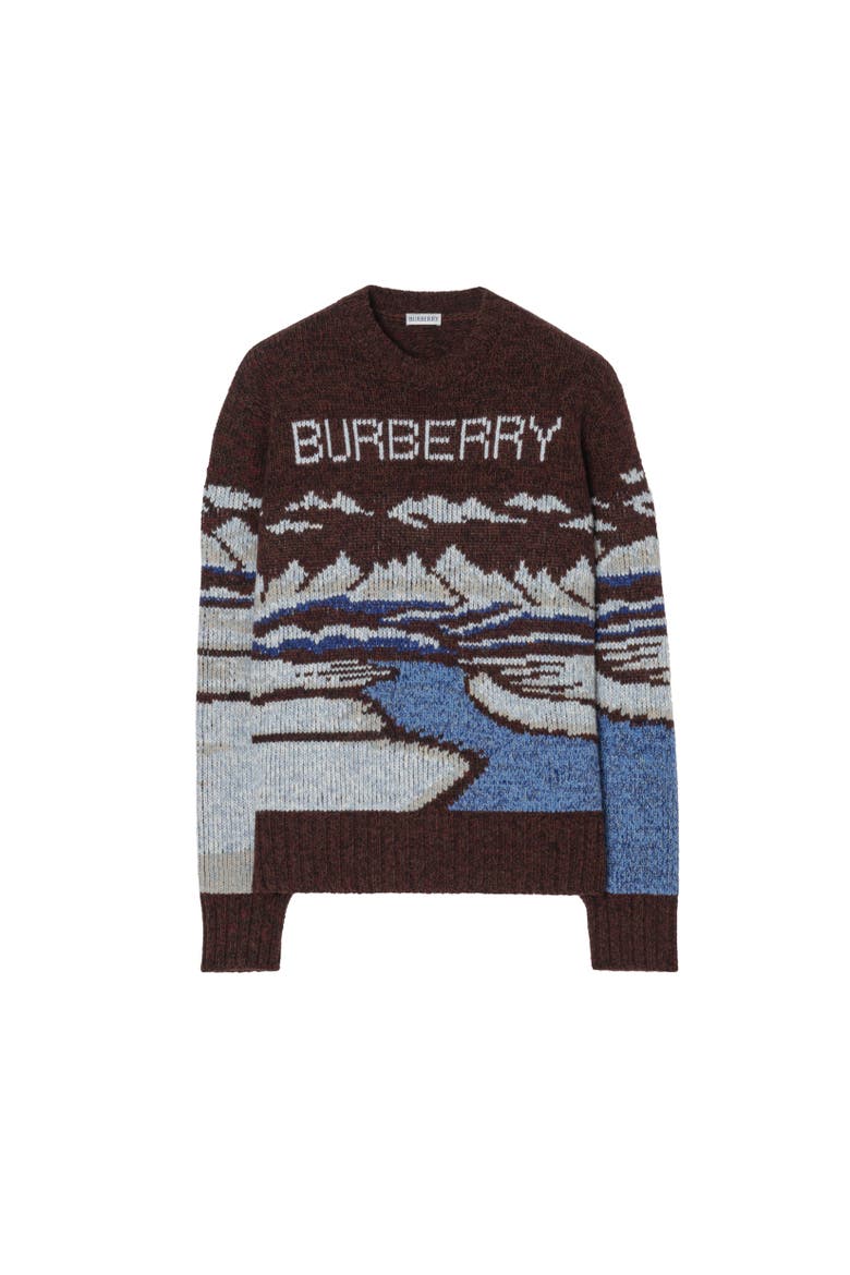 Alpine Wool Sweater, Alternate, color, Brown