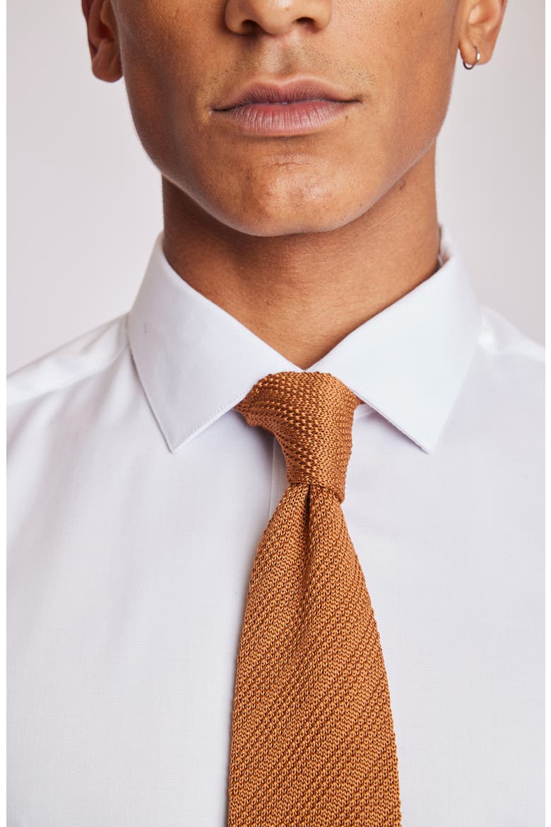Stanley Solid Knit Tie, Alternate, color, CARAMELLO
