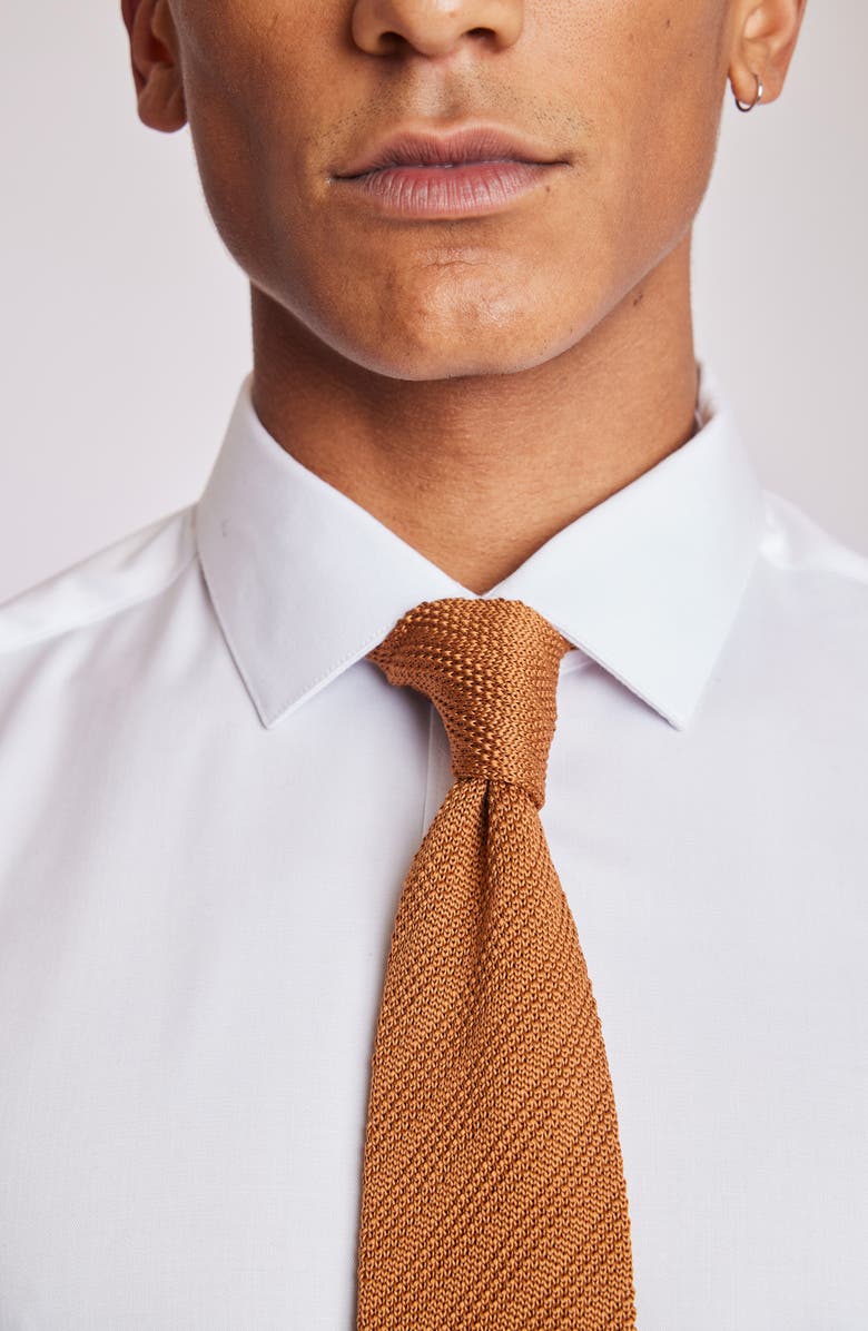 PAISLEY & GRAY Stanley Solid Knit Tie, Alternate, color, Caramello