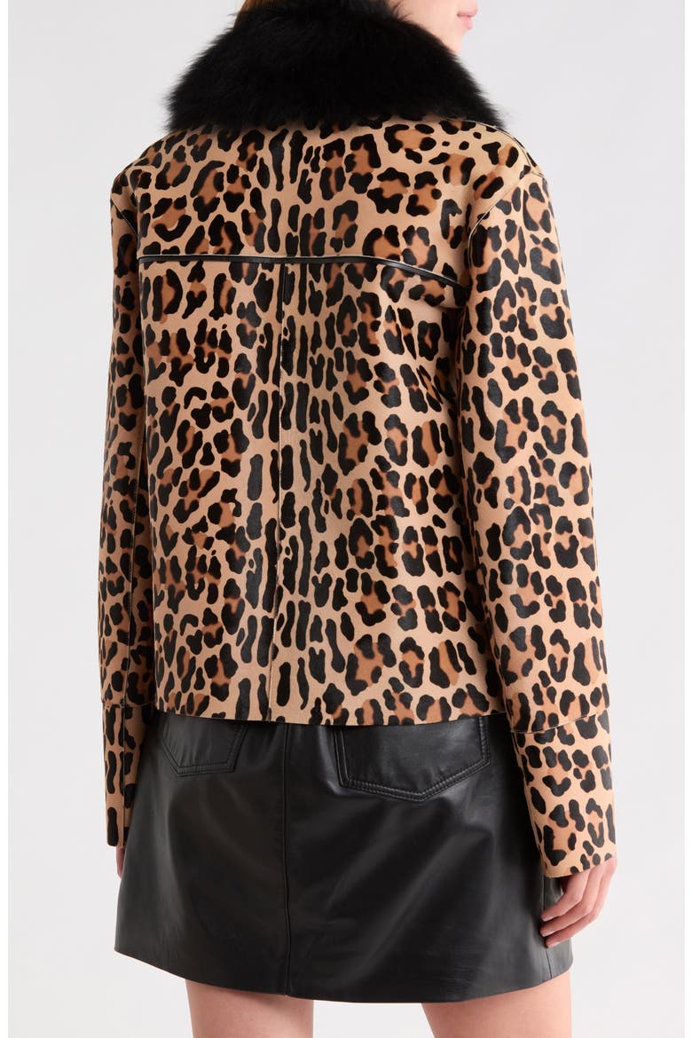 Genuine Calf Hair Jacket with Genuine Shearling Collar, Alternate, color, CAMEL