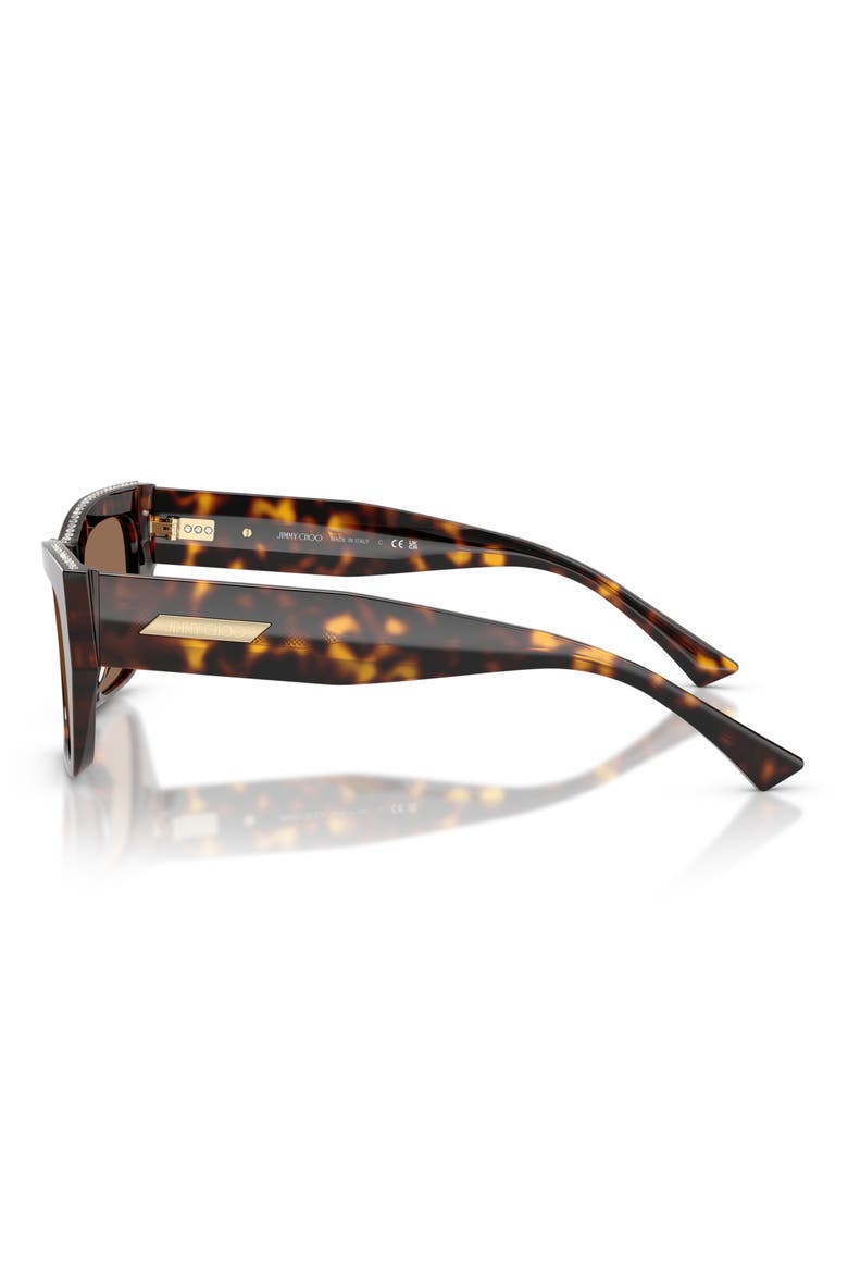 54mm Cat Eye Sunglasses, Alternate, color, HAVANA/ DARK BROWN