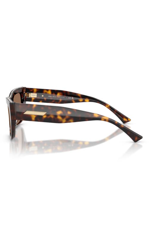 Jimmy Choo 54mm Cat Eye Sunglasses In Havana/dark Brown