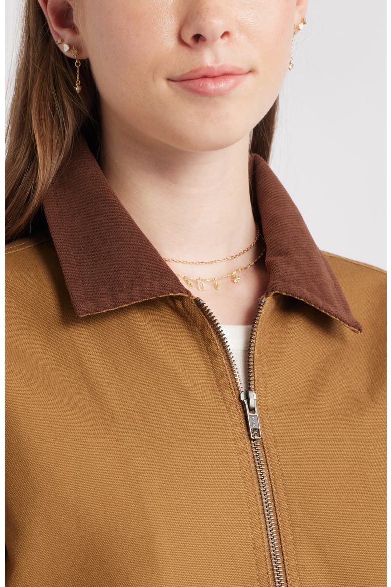 Cotton Canvas Barn Jacket, Alternate, color, TAUPE