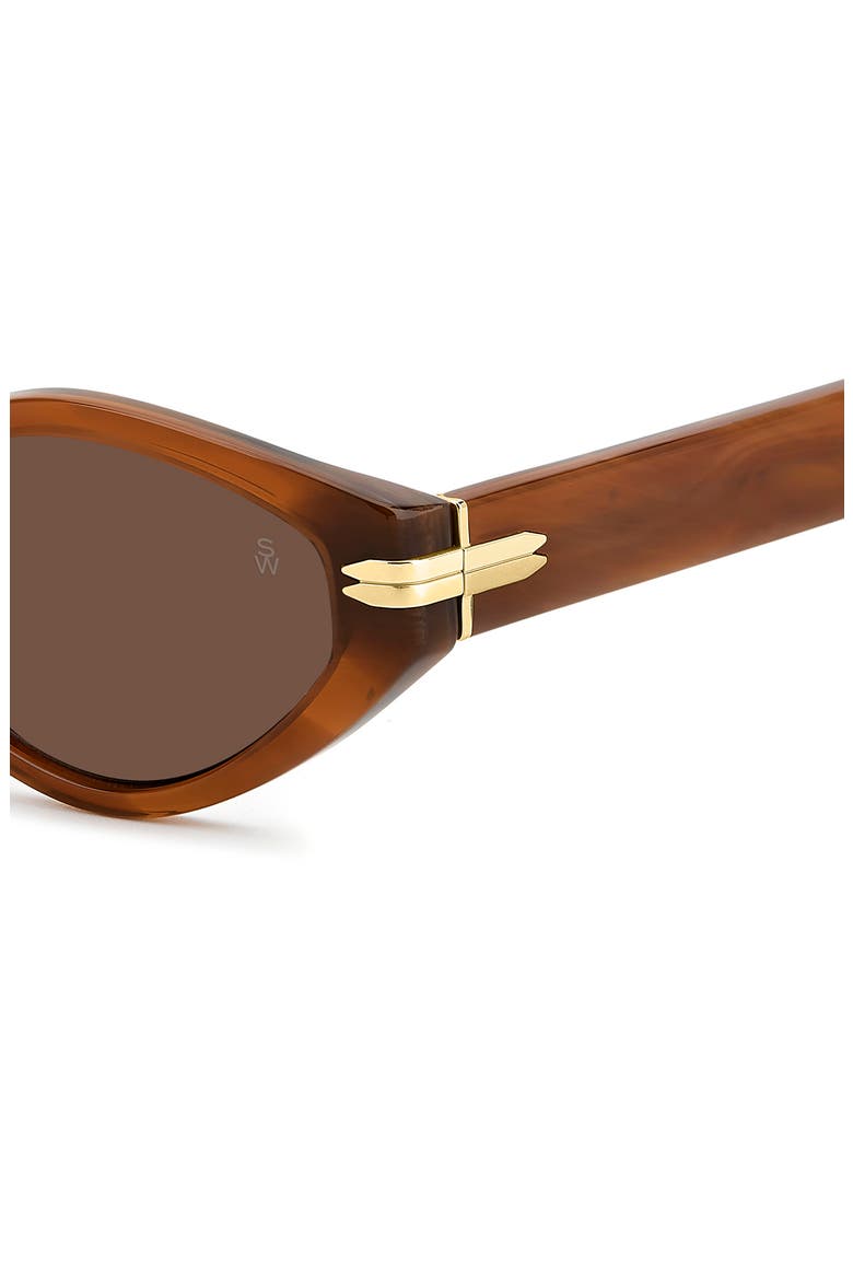 WZN 8029/S 54mm Oval Sunglasses, Alternate, color, HAVANA BROWN/ BROWN