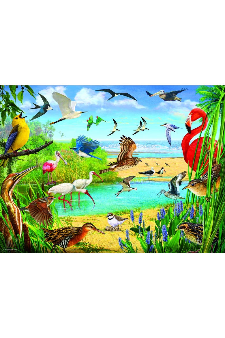 Florida Birds 1000 piece Jigsaw Puzzle for Adults, Alternate, color, Multicolor