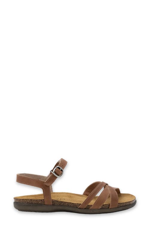 Naot Patricia Sandal In Latte Brown Leather