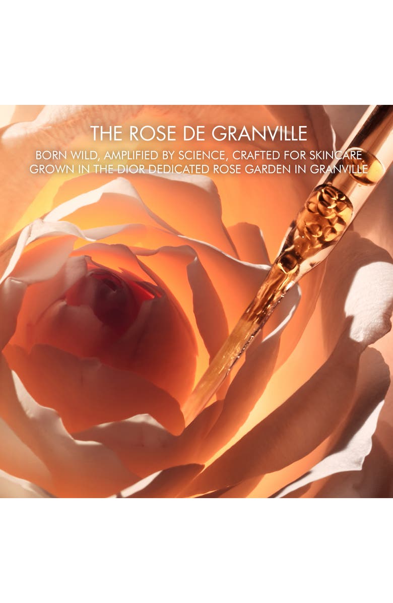 DIOR Prestige Holiday Gift Set, Alternate, color, 