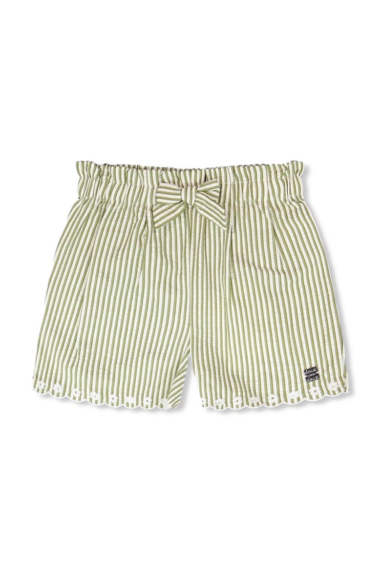 Stripes with Embroidery Flared Shorts, Main, color, Green & Off White Stripes