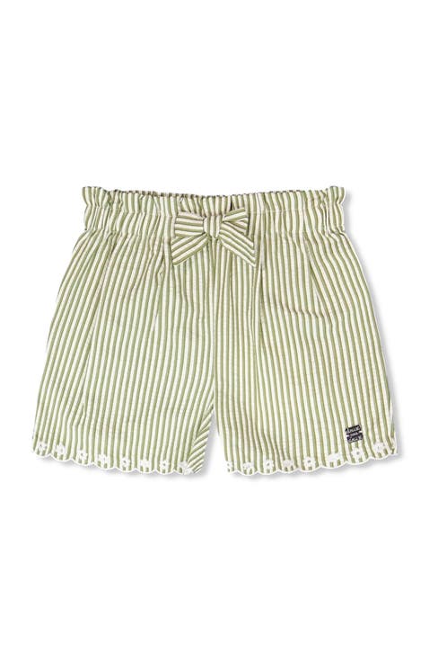 Stripes with Embroidery Flared Shorts