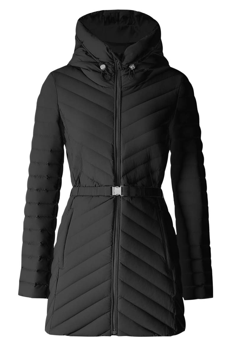 Estelle Water Resistant 700 Fill Power Hooded Down Jacket, Alternate, color, BLACK