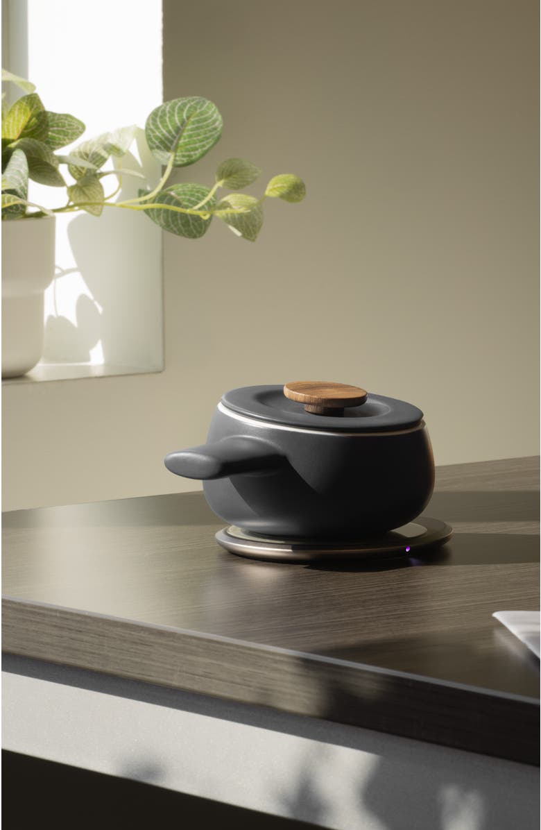 OHOM INC Fondi Self-heating Fondue Set, Alternate, color, Inkstone Black