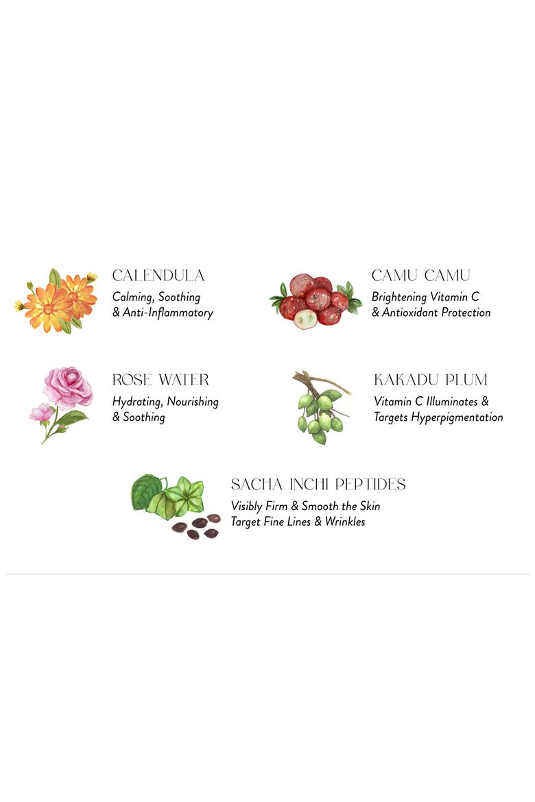 Calendula + Peptides Hydrating Essence, Alternate, color, NO COLOR