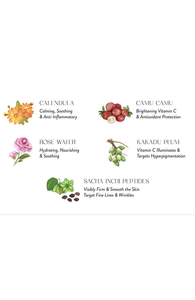 Joaquina Botánica Calendula + Peptides Hydrating Essence, Alternate, color, 