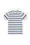  Navy Stripe