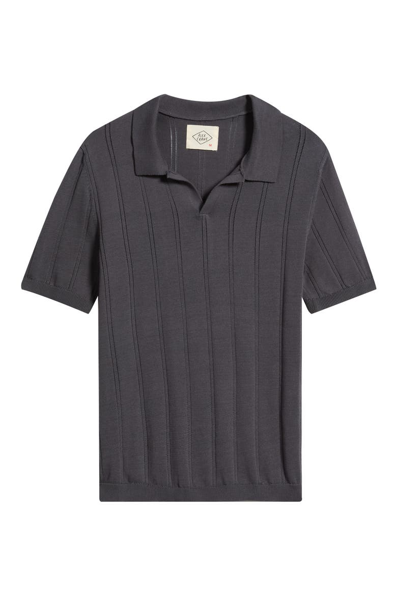 Lolo Drop Needle Sweater Polo, Alternate, color, ASH