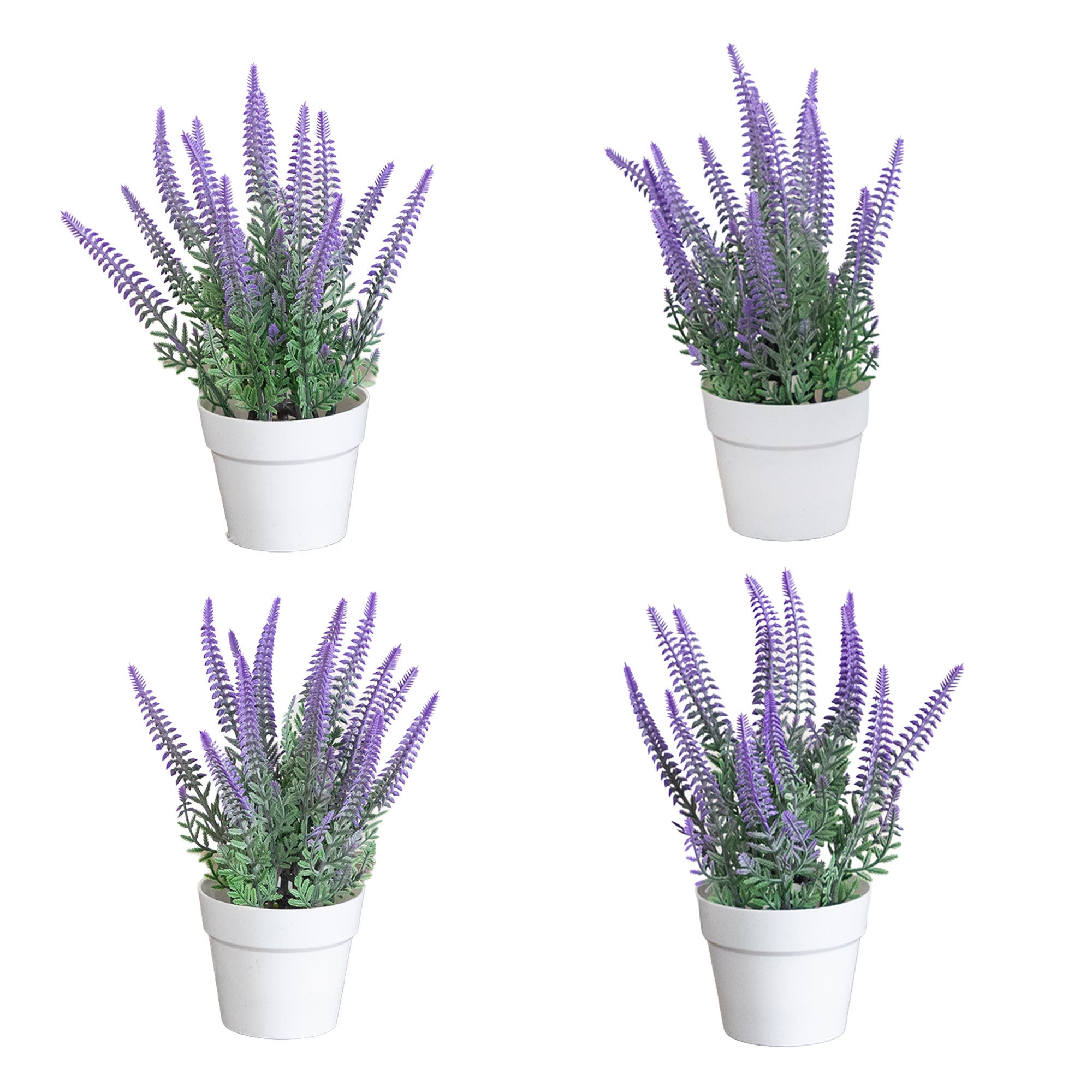 selected Purple