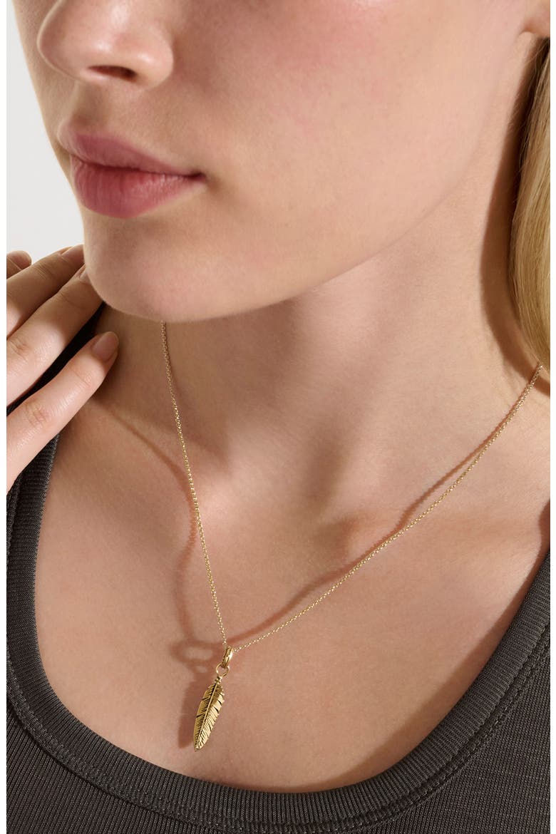 Modern Talismans 14k Gold Diamond Feather Talisman Necklace, Alternate, color, GOLD